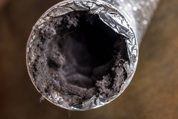 Best Home Air Vent Cleaning  in Sallisaw, OK