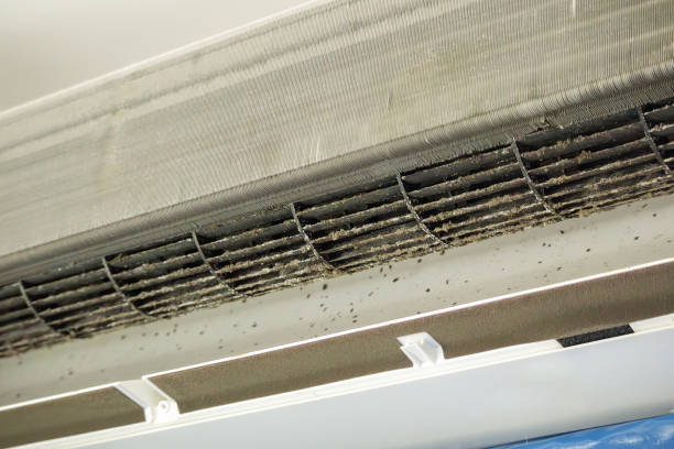 Best Affordable Duct Cleaning Services  in Sallisaw, OK